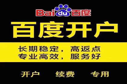 案例解析：SEM竞价策略优化技巧